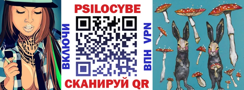 omg как войти  купить  сайты  Балашов  Галлюциногенные грибы мухоморы 